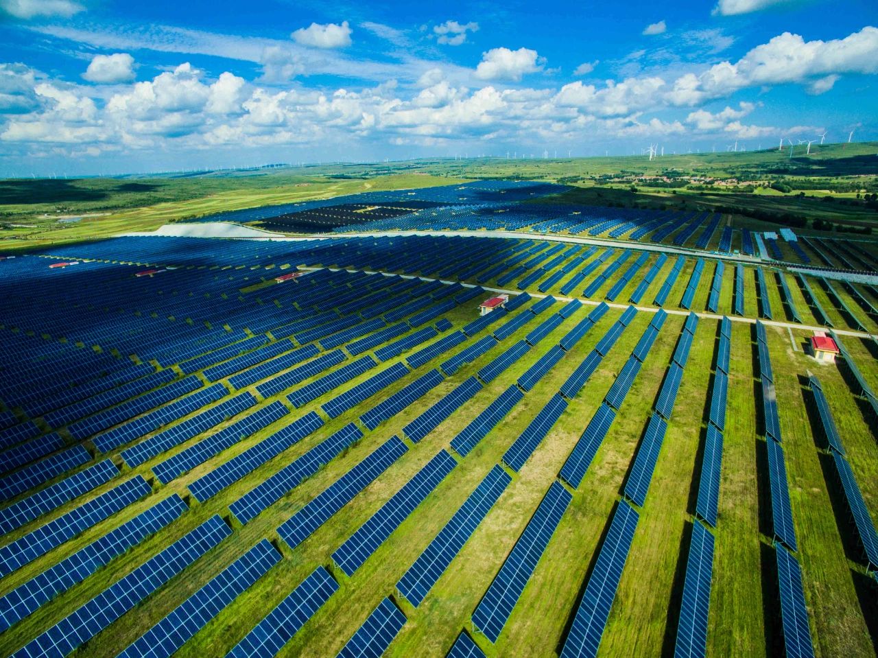 1624629721870489.jpg 3.jpg